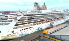 Kepercayaan Global Meningkat: Pelindo Siap Layani Ratusan Kapal Pesiar di 2026, Infrastruktur Terus Ditingkatkan