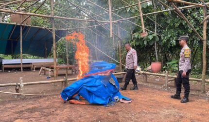 Polisi Bongkar Lokasi Diduga Arena Sabung Ayam di Gedangan Malang - Teropong Rakyat