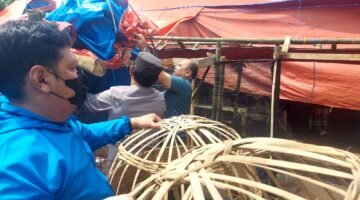 Polisi Bongkar Arena Dugaan Sabung Ayam di Pakisaji Malang