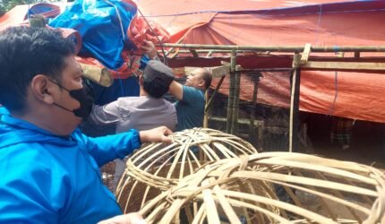 Polisi Bongkar Arena Dugaan Sabung Ayam di Pakisaji Malang - Teropong Rakyat