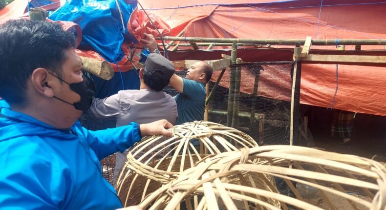 foto slider headline