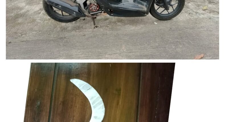 foto slider headline