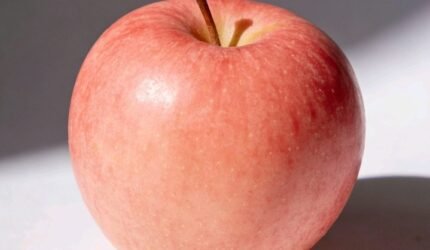 Ragam Apel di Dunia Mulai Dari Sejarah Panjang hingga Varian yang Memikat Selera - Teropong Rakyat