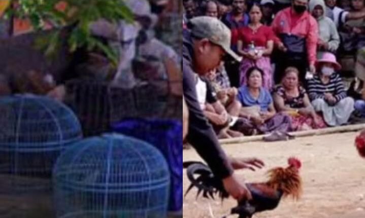 foto slider headline