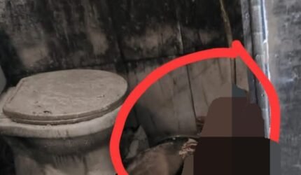 Api Melalap Kamar Kos di Kemayoran, Pria 26 Tahun Ditemukan Tewas di Kamar Mandi - Teropong Rakyat