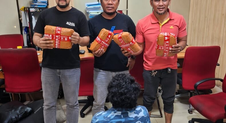 foto slider headline