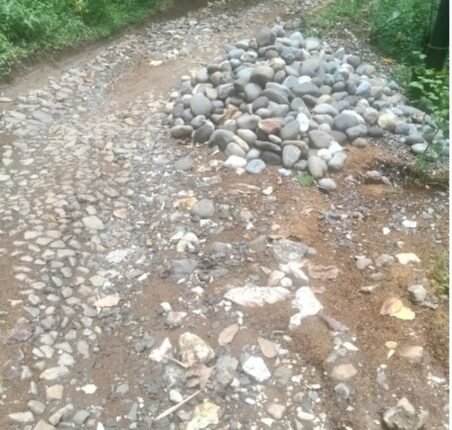 foto slider headline