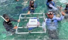 IPC TPK Gandeng Mitra Pelayaran Perkuat Konservasi Laut dan Ekosistem