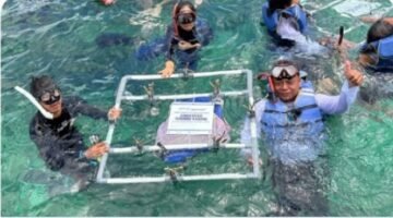 IPC TPK Gandeng Mitra Pelayaran Perkuat Konservasi Laut dan Ekosistem