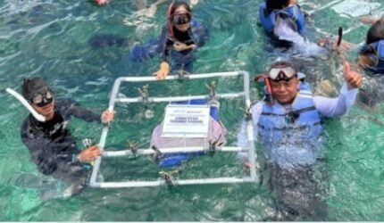 IPC TPK Gandeng Mitra Pelayaran Perkuat Konservasi Laut dan Ekosistem - Teropong Rakyat