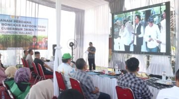 Bupati Malang Tanam Tebu Perdana, Dukung Swasembada Gula Nasional