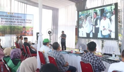Bupati Malang Tanam Tebu Perdana, Dukung Swasembada Gula Nasional - Teropong Rakyat