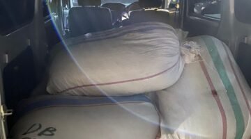 Bea Cukai Malang Gagalkan Pengiriman Tembakau Iris Ilegal di Jalur Tol Malang-Pandaan