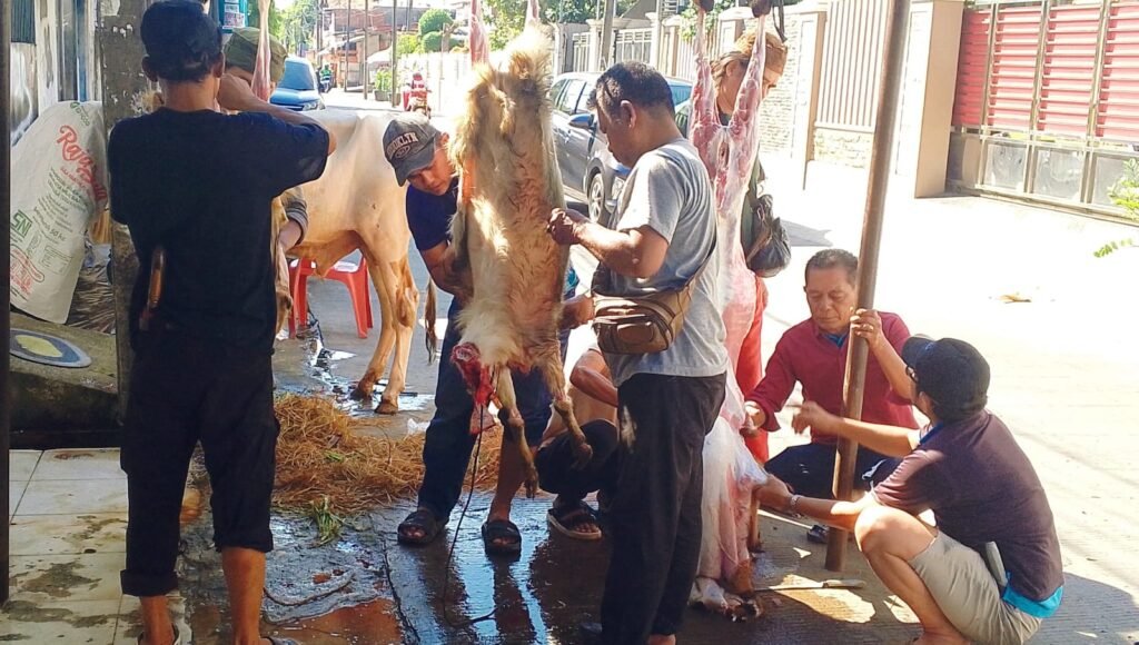 Portal Berita Indonesia dan Dunia Terkini Hari Ini, Update Harian Terbaru, Terlengkap, Tajam, Aktual dan Berimbang. PWJU Gelar Penyembelihan Hewan Qurban, Ucapkan Terima Kasih kepada Para Donatur - Teropong Rakyat