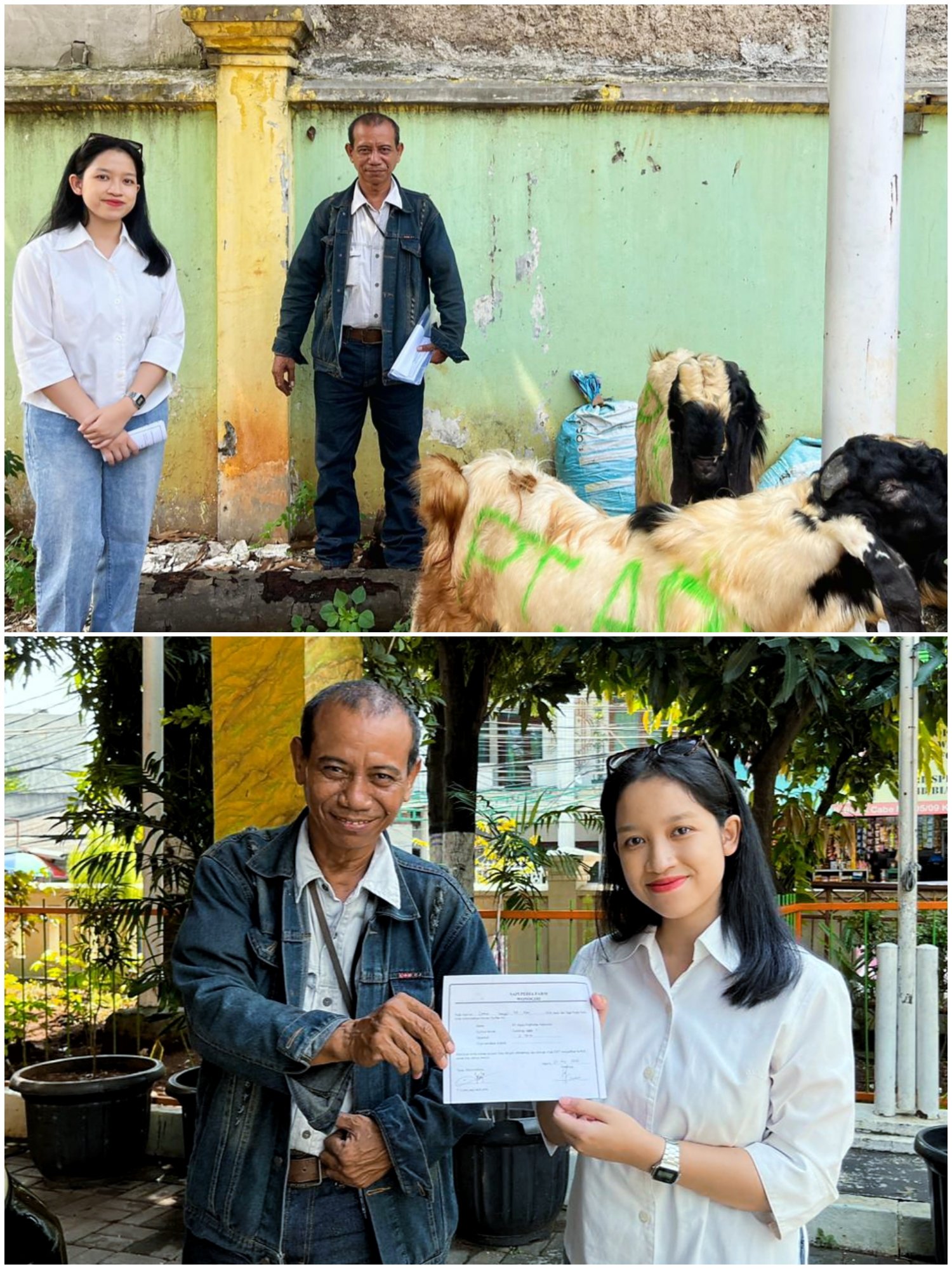 Dukung Pembangunan Sosial, PT API Salurkan Hewan Kurban ke Cilincing hingga Pontianak - Teropong Rakyat