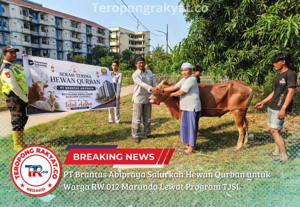 PT Brantas Abipraya Salurkan Hewan Qurban untuk Warga RW 012 Marunda Lewat Program TJSL - Teropong Rakyat
