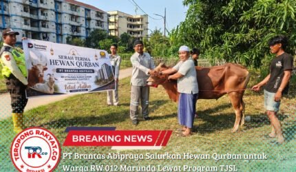 PT Brantas Abipraya Salurkan Hewan Qurban untuk Warga RW 012 Marunda Lewat Program TJSL - Teropong Rakyat