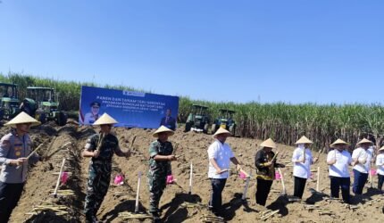 Gubernur Khofifah Pimpin Panen dan Tanam Tebu Serempak di Malang, Perkuat Langkah Jatim Menuju Swasembada Gula Nasional - Teropong Rakyat