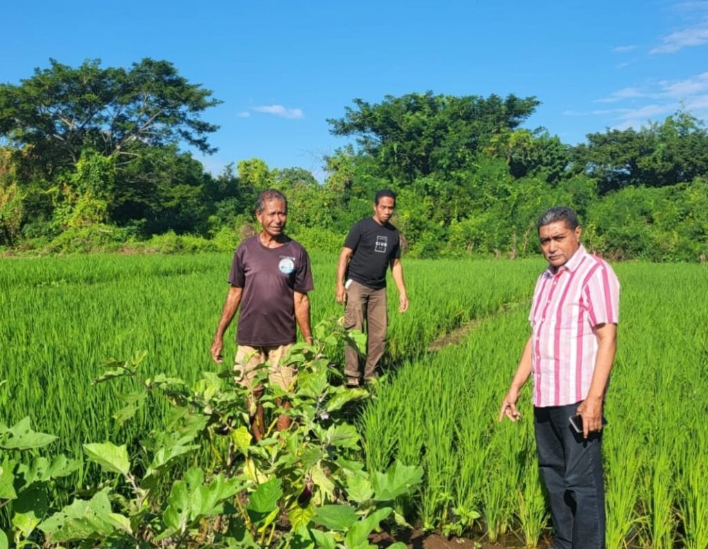 Rahman Sabon Nama Dukung Investasi di Flores Timur: Petani & Nelayan Tak Boleh Terus Menderita, Negara Harus Hadir - Teropong Rakyat