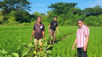 Rahman Sabon Nama Dukung Investasi di Flores Timur: Petani & Nelayan Tak Boleh Terus Menderita, Negara Harus Hadir