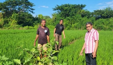 Rahman Sabon Nama Dukung Investasi di Flores Timur: Petani & Nelayan Tak Boleh Terus Menderita, Negara Harus Hadir - Teropong Rakyat