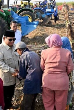 Presiden Prabowo Saksikan Panen Raya Tebu di Malang dan Serap Aspirasi Petani