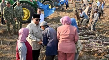 Presiden Prabowo Saksikan Panen Raya Tebu di Malang dan Serap Aspirasi Petani