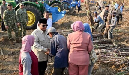 Presiden Prabowo Saksikan Panen Raya Tebu di Malang dan Serap Aspirasi Petani - Teropong Rakyat