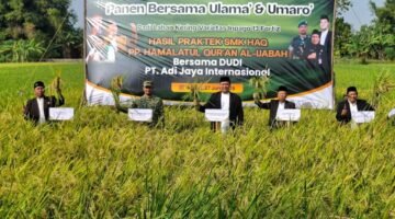 Membantu Program Pemerintah dalam Ketahanan Pangan, Ponpes Panen Raya