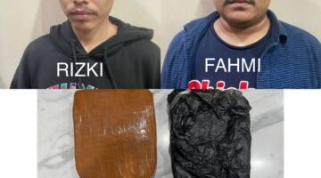 Satresnarkoba Polres Priok Ungkap Kasus Peredaran Ganja, Dua Pelaku Diamankan