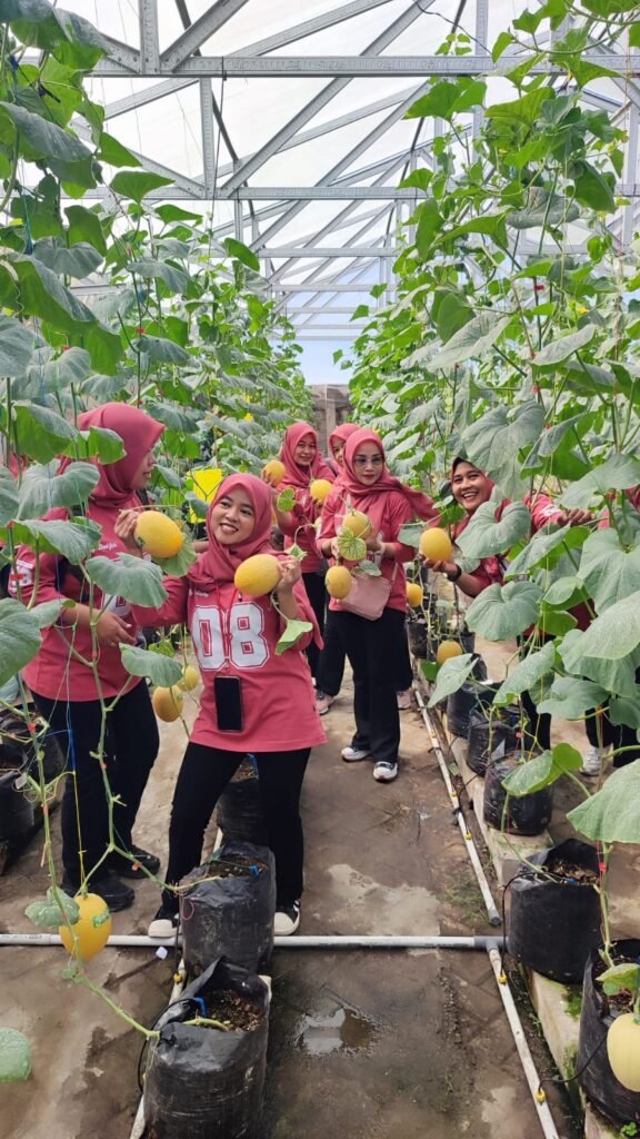 Portal Berita Indonesia dan Dunia Terkini Hari Ini, Update Harian Terbaru, Terlengkap, Tajam, Aktual dan Berimbang. Liburan Produktif, Persit Koramil Pakisaji Edukasi Pertanian Lewat Wisata Panen Melon di Green House BUMDes - Teropong Rakyat