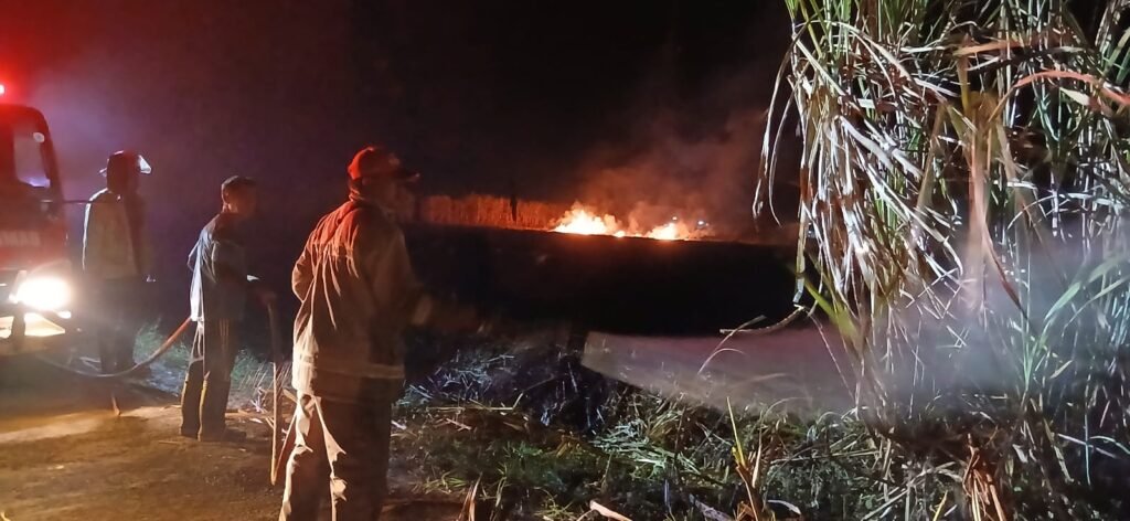 Kebakaran Lahan Tebu di Sumberpucung Hanguskan 1 Hektare - Teropong Rakyat