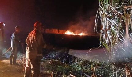Kebakaran Lahan Tebu di Sumberpucung Hanguskan 1 Hektare - Teropong Rakyat