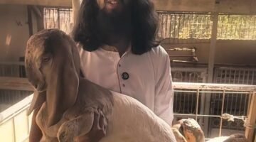 Bikin Konten Jualan Kambing Sembari Dakwah, Warga Kota Batu, Faiq Mendadak Viral dan Banjir Follower di Instagram dan TikTok