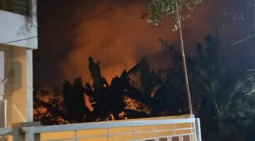 Api Lahan Tebu Dekati Permukiman di Singosari, Damkar Kabupaten Malang Bergerak Cepat Cegah Kebakaran Meluas