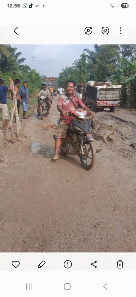 Portal Berita Indonesia dan Dunia Terkini Hari Ini, Update Harian Terbaru, Terlengkap, Tajam, Aktual dan Berimbang. Puluhan Mobil Roda Empat dan Roda Enam Terpuruk saat Lewati Jalan Lintas yang Rusak - Teropong Rakyat