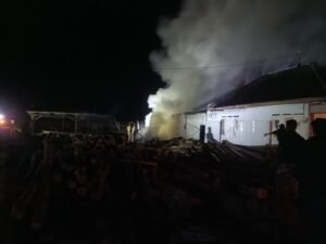Pabrik Pallet di Wagir Terbakar Dini Hari, Api Diduga Berasal dari Mesin Pemotong Kayu - Teropong Rakyat
