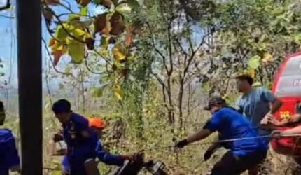 Motor Terjun ke Jurang 5 Meter di Pagak, Tim Damkar Kabupaten Malang Berhasil Evakuasi Korban dan Kendaraan - Teropong Rakyat