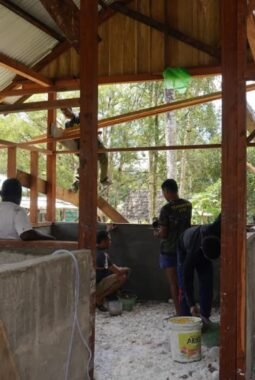 Pembangunan Rumah Ke-1 Type 36 Semi Permanen Capai 68 Persen, Satgas TMMD Ke-129 Kodim 1807/Sorong Selatan Terus Wujudkan Hunian Layak bagi Masyarakat