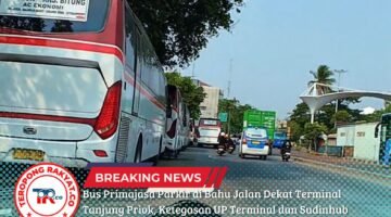 Bus Primajasa Parkir di Bahu Jalan Dekat Terminal Tanjung Priok, Ketegasan UP Terminal dan Sudinhub Dipertanyakan