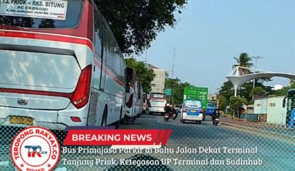 Bus Primajasa Parkir di Bahu Jalan Dekat Terminal Tanjung Priok, Ketegasan UP Terminal dan Sudinhub Dipertanyakan - Teropong Rakyat