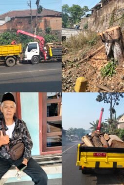Rawan Tumbang,10 Pohon di Jalur Padat Kendalpayak Malang Mulai DiPangkas
