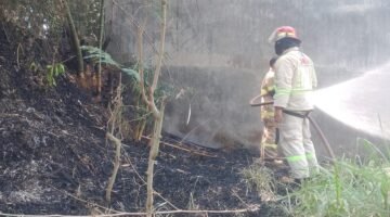 Lahan Bambu Terbakar di Pakis, Damkar Kabupaten Malang Berhasil Cegah Api Merembet ke Pabrik Biji Plastik