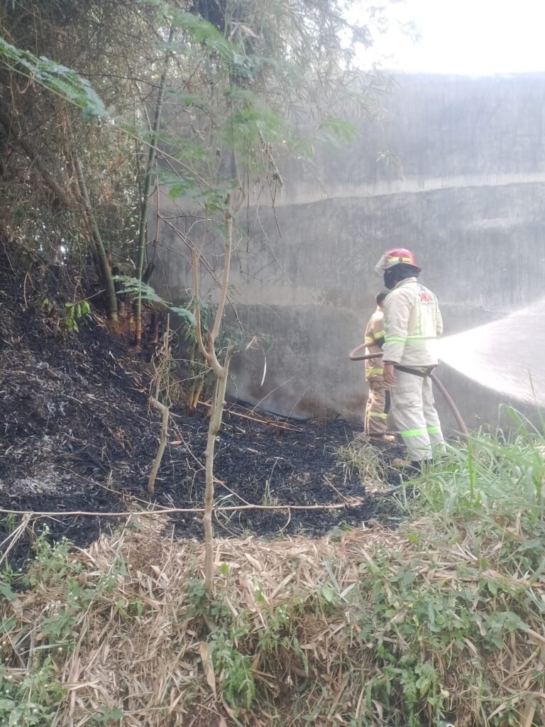 Portal Berita Indonesia dan Dunia Terkini Hari Ini, Update Harian Terbaru, Terlengkap, Tajam, Aktual dan Berimbang. Lahan Bambu Terbakar di Pakis, Damkar Kabupaten Malang Berhasil Cegah Api Merembet ke Pabrik Biji Plastik - Teropong Rakyat