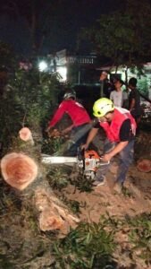 Portal Berita Indonesia dan Dunia Terkini Hari Ini, Update Harian Terbaru, Terlengkap, Tajam, Aktual dan Berimbang. Pohon Mahoni Berukuran Besar Tumbang di Pakisaji, Timpa Sejumlah Kendaraan dan Lukai Sembilan Orang - Teropong Rakyat