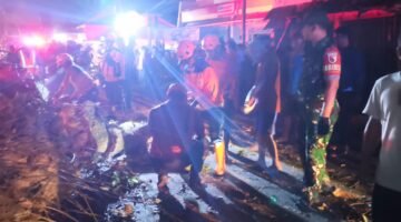 Pohon Mahoni Berukuran Besar Tumbang di Pakisaji, Timpa Sejumlah Kendaraan dan Lukai Sembilan Orang
