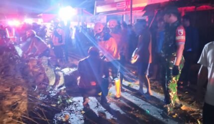 Pohon Mahoni Berukuran Besar Tumbang di Pakisaji, Timpa Sejumlah Kendaraan dan Lukai Sembilan Orang - Teropong Rakyat