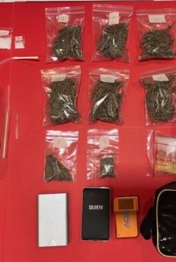 Polres Malang Tangkap Pengedar Narkoba di Kepanjen, Sita Sabu 96 Gram dan Ganja 131 Gram