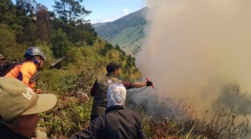 Kebakaran Hutan di Kawasan Bromo Meluas, BPBD Kabupaten Malang Siaga Antisipasi Perambatan Api