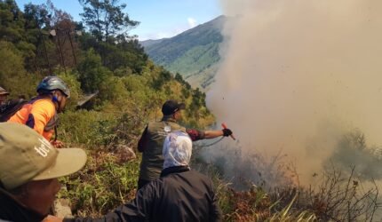 Kebakaran Hutan di Kawasan Bromo Meluas, BPBD Kabupaten Malang Siaga Antisipasi Perambatan Api - Teropong Rakyat